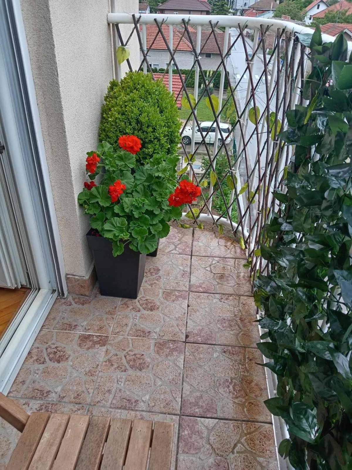 Apartman Centar Požarevac Eksteriør bilde